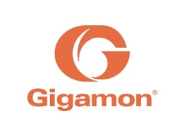 Gigamon-min Gigamon min