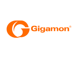 Gigamon Gigamon